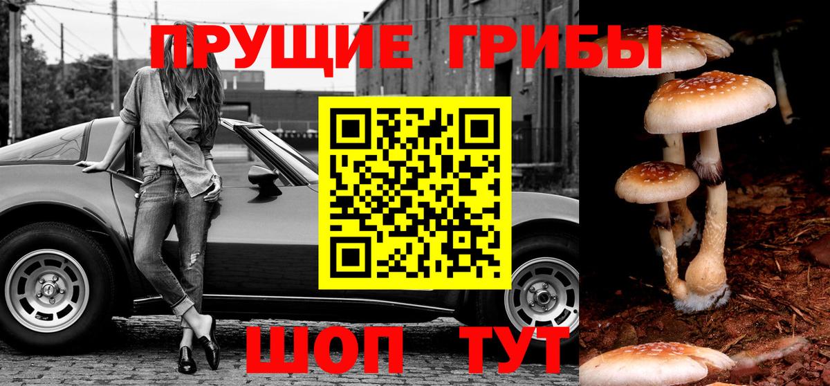 Псилоцибиновые грибы прущие грибы Ярославль